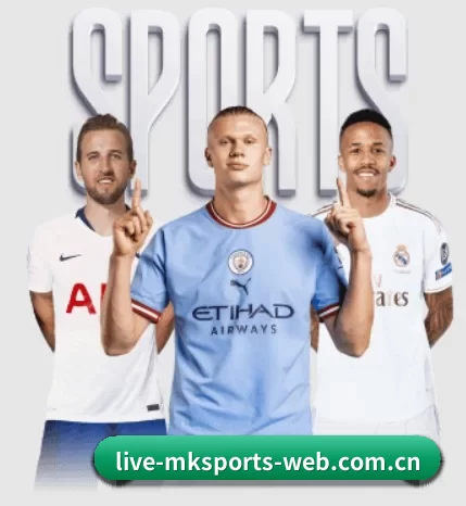 mk体育 APP（MKSports）