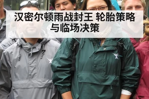汉密尔顿雨战封王 轮胎策略与临场决策 - MKSports